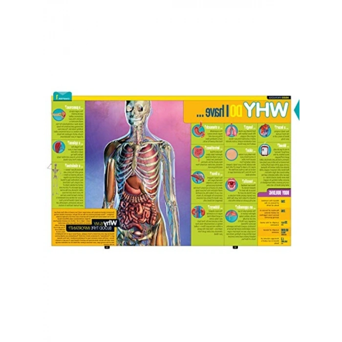 Çocuklar İçin 1,111 Soruya Cevap Kitabı - Ciltli Kapak