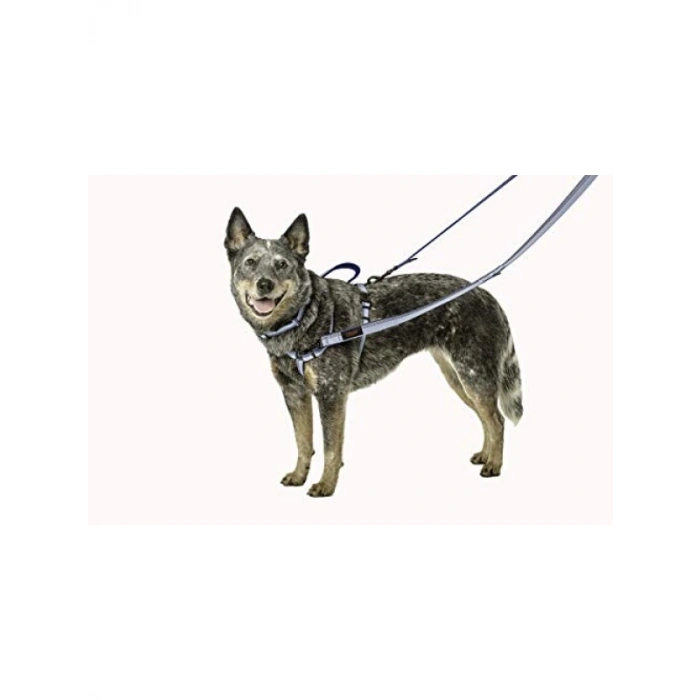 Çok Fonksiyonlu Çift Uçlu Köpek Gezdirme Kayışı, Siyah, 2 m