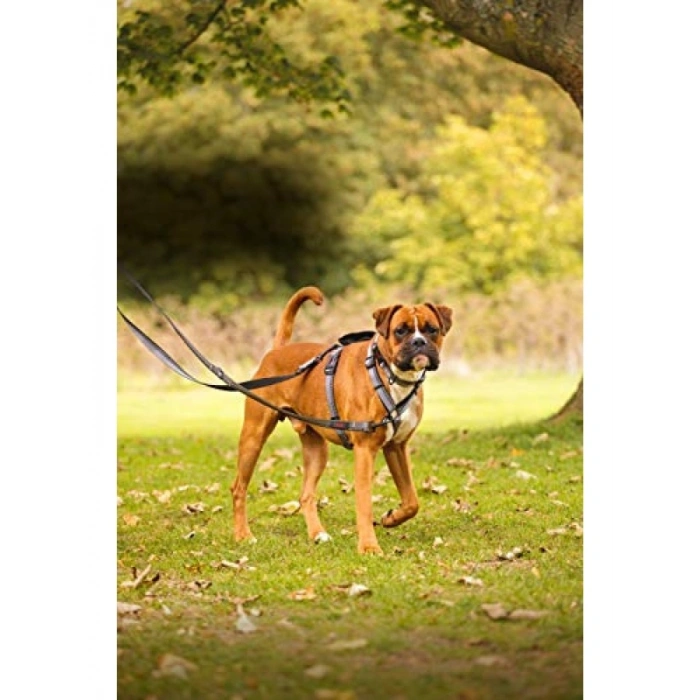 Çok Fonksiyonlu Çift Uçlu Köpek Gezdirme Kayışı, Siyah, 2 m