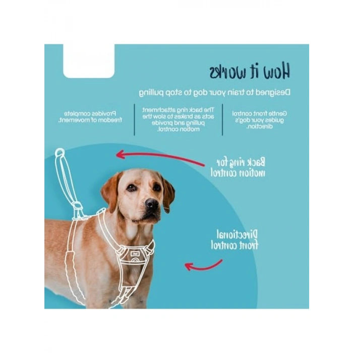 Çok Fonksiyonlu No Pull Antrenman Tasma ve Takım Paketi