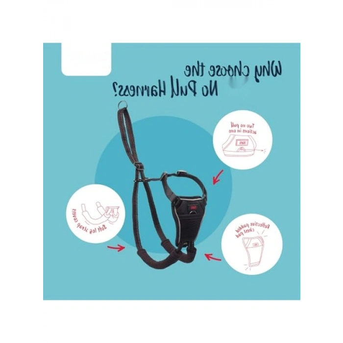 Çok Fonksiyonlu No Pull Antrenman Tasma ve Takım Paketi