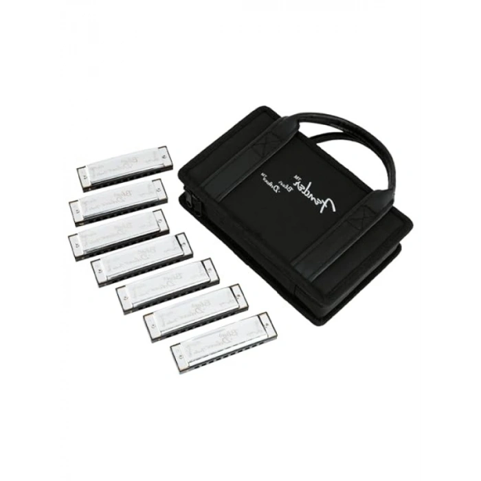 Çok Yönlü Blues Harmonica Seti