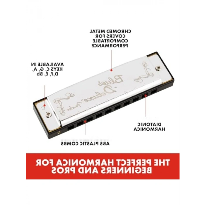 Çok Yönlü Blues Harmonica Seti