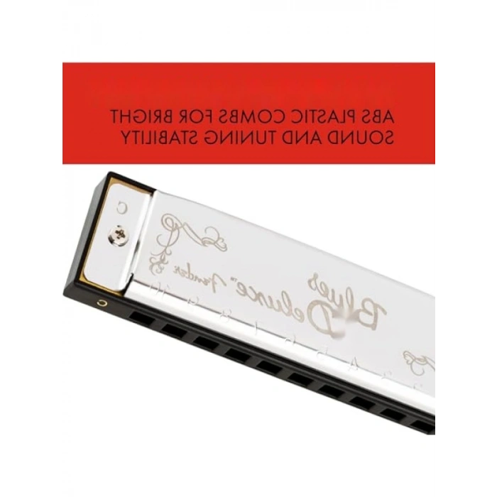 Çok Yönlü Blues Harmonica Seti