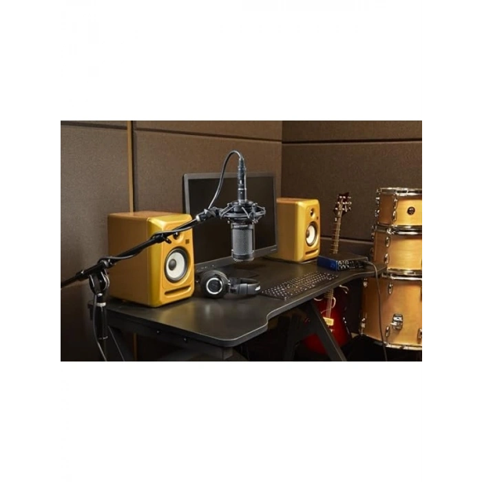 Çok Yönlü Kapasitif Mikrofon - Değiştirilebilir Polar Pattern