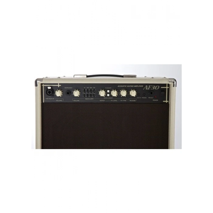 Cort AF30 Çift Girişli Akustik Gitar Amfisi 30 Watt