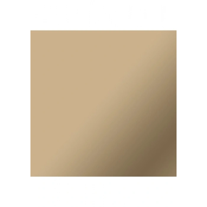Crıcut 2011610 Smart Vinil Kalıcı 33X91CM 1 Sayfa Mat Şampanya