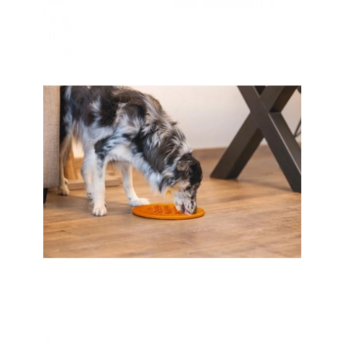 Daire Şeklinde Silikon Yavru Köpek Mama Yeme Oyuncağı, 30 cm