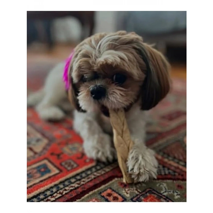 Dana derisi çiğneme kemikleri, köpek ödül maması