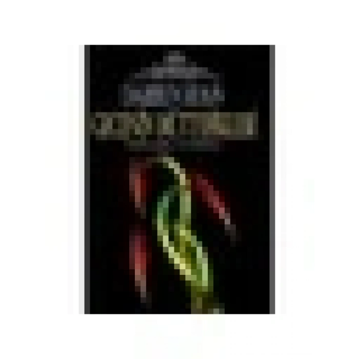Darren Shan Serisi - 8: Gecenin Müttefikleri - Darren Shan