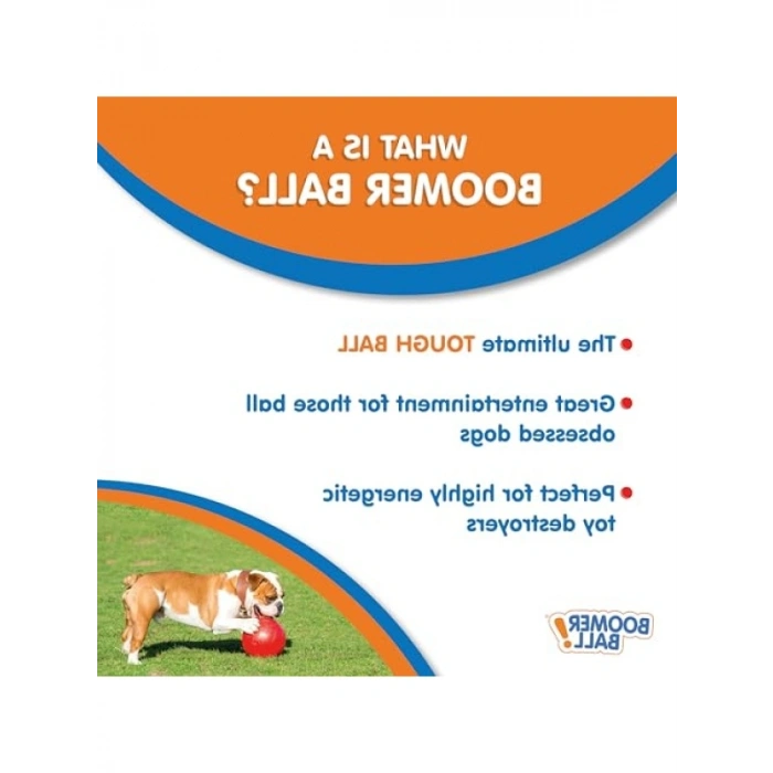 Dayanıklı Köpek Oyun Topu 10 cm