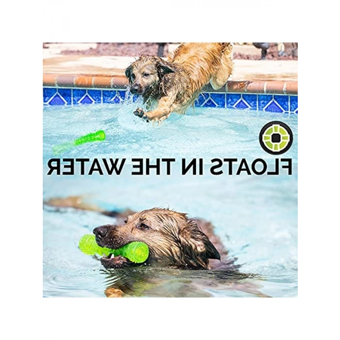 Dayanıklı Suda Yüzen Gıcırtılı Köpek Oyuncağı, Medium Boy