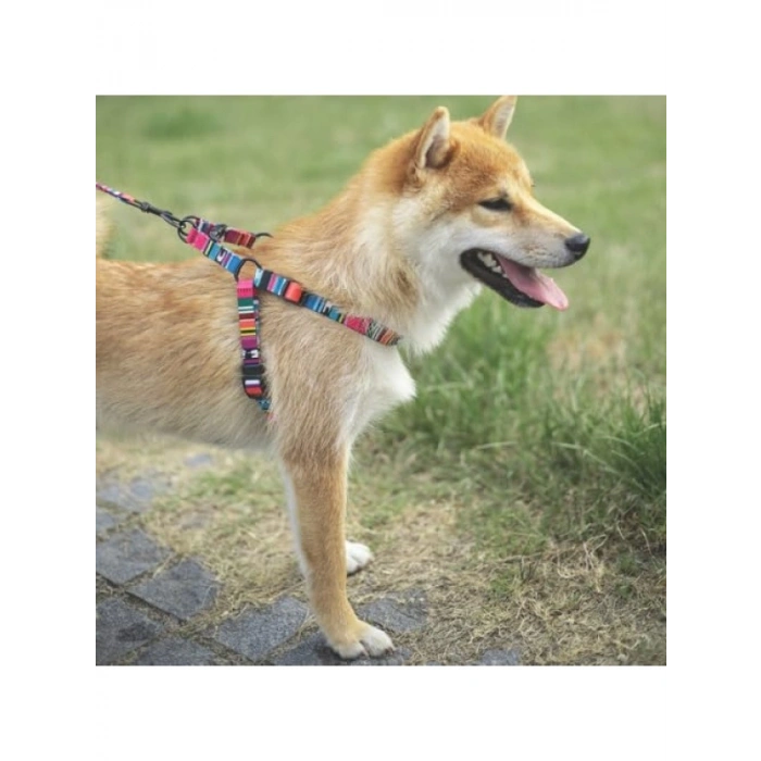 Dayanıklı Urban Style Jazz Stripes Göğüs Tasması - S