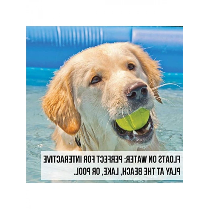 Dayanıklı ve Hafif Köpek Oyun Topu – Suda Yüzen