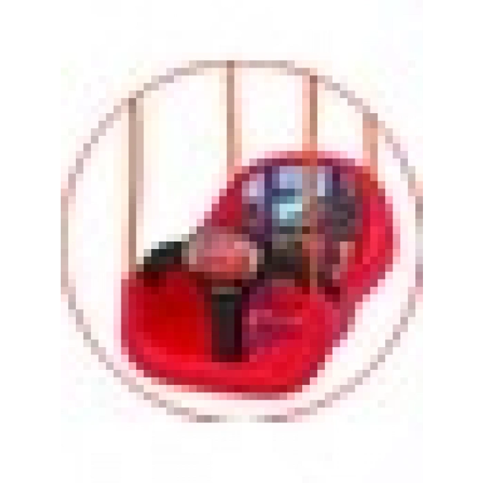 Dede Cars Salıncak