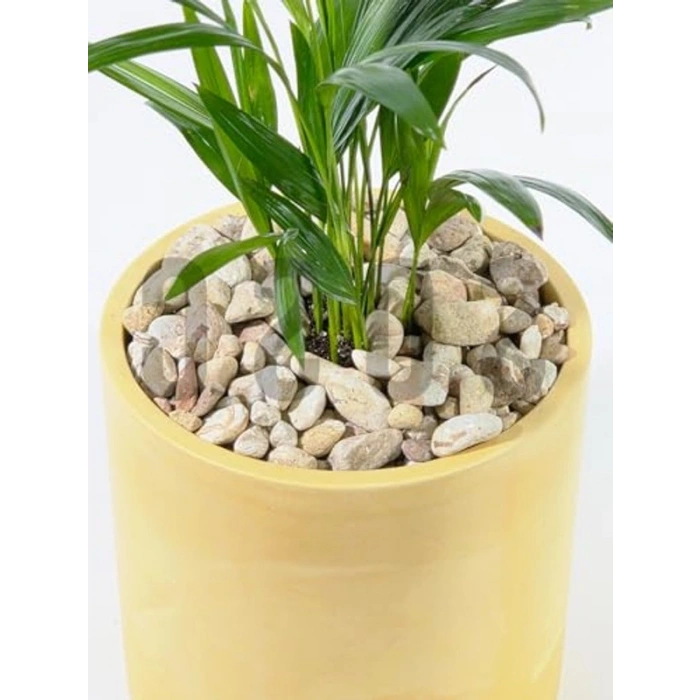 Dekoratif Dolomit Çakıl Taşı, 1-3 cm, 1 kg