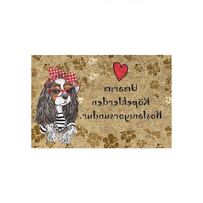 Dekoratif Kapı Önü Paspası, 45X70 cm Tasarımı ile Dış Mekan Kullanımı için