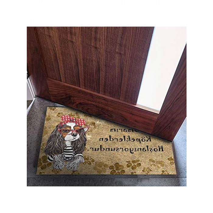 Dekoratif Kapı Önü Paspası, 45X70 cm Tasarımı ile Dış Mekan Kullanımı için