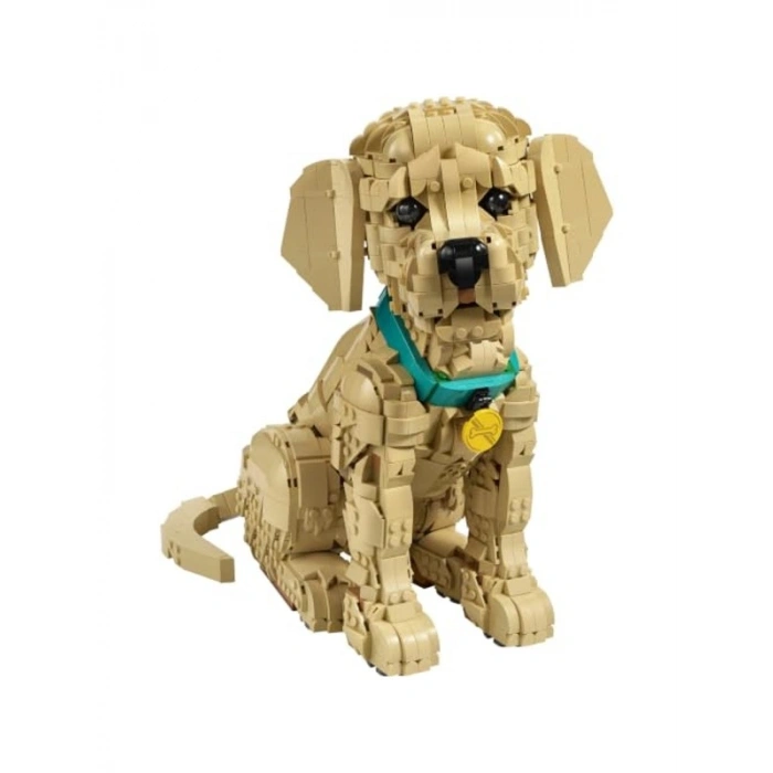 Dekoratif Yavru Golden Retriever Figürü, 2102 Parça Yapım Seti