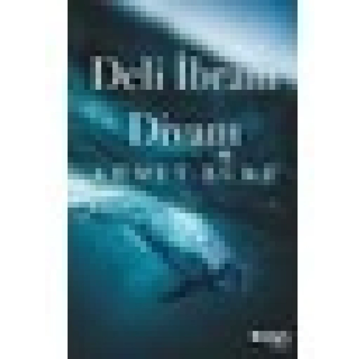 Deli İbram Divanı - Ahmet Büke