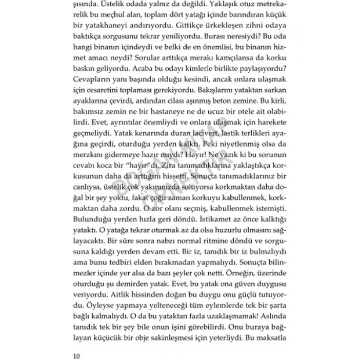 Demans / Bir Unutma Hikâyesi - Ş. Ülkü Altundal Ercan