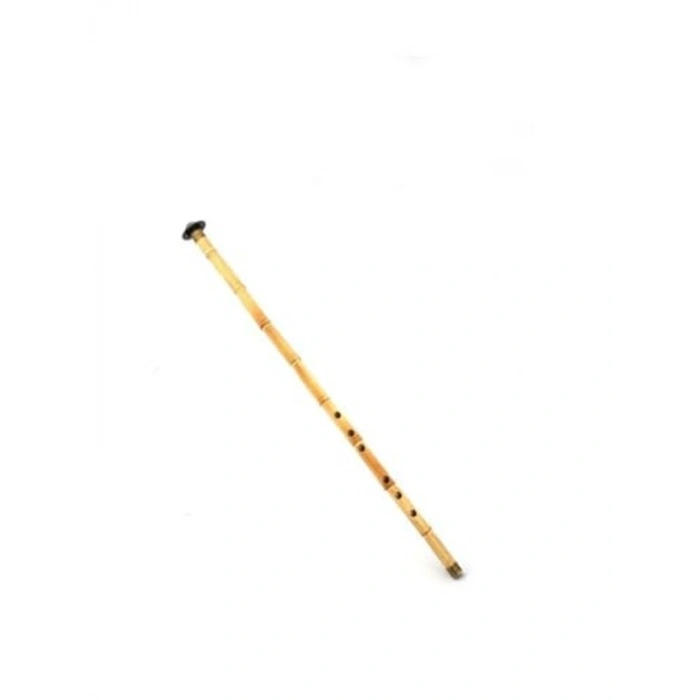 Deri Kılıf Hediye Profesyonel Kamış Kız Ney, Kaliteli Ses