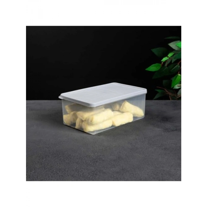 Derin Dondurucu Saklama Kabı - 2.1 L Kapasite