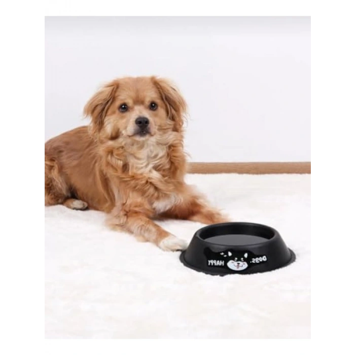 Desenli Paslanmaz Çelik Mama ve Su Kabı - 15 cm (Siyah)