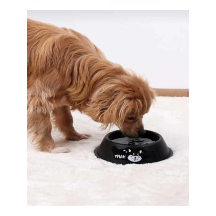 Desenli Paslanmaz Çelik Mama ve Su Kabı - 15 cm (Siyah)