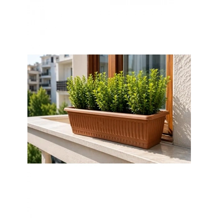 Dikdörtgen Plastik Balkon Saksısı, Kahverengi ve Geniş Hazne ile Çiçeklik