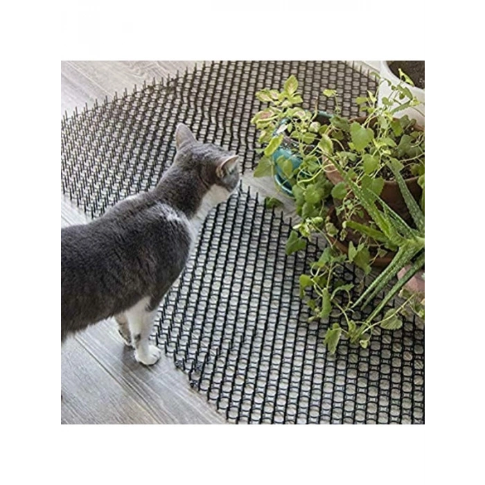 Dikenli Kedi Kovucu Paspası, Bahçe Bitkileri İçin Engelleyici