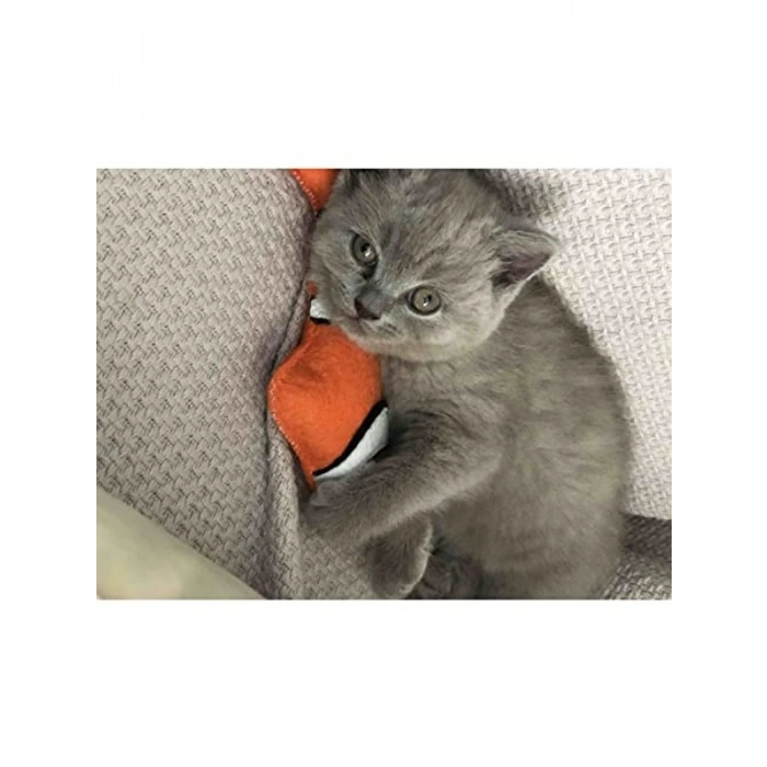 Dino Nemo 18cm Catnip + Kedi Zili