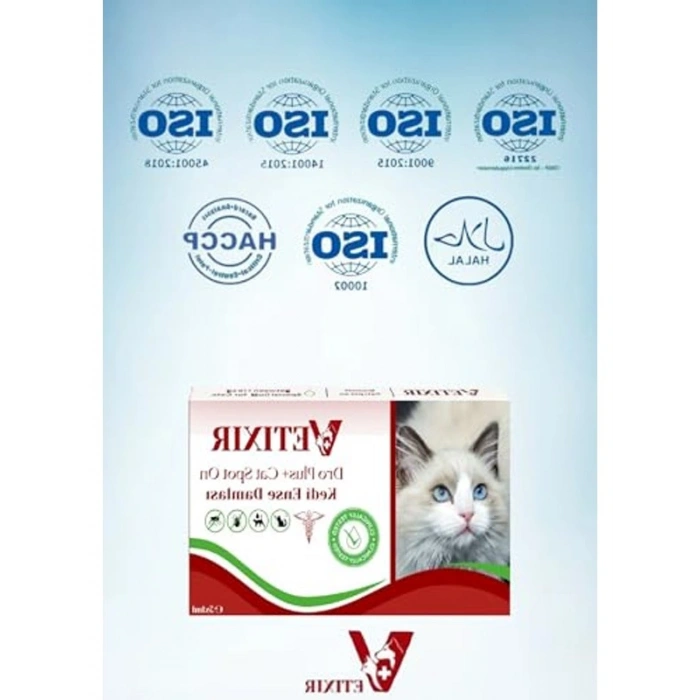 Dış Parazitler için Bitkisel Damla 5 Adet Etkili Koruma