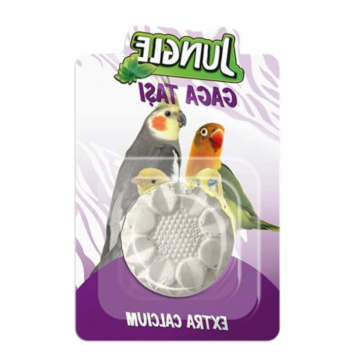 Diş Sağlığı İçin Özel Gaga Taşı