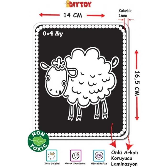 Diytoy Cards Book Bebeğim İlk Zeka Kartları