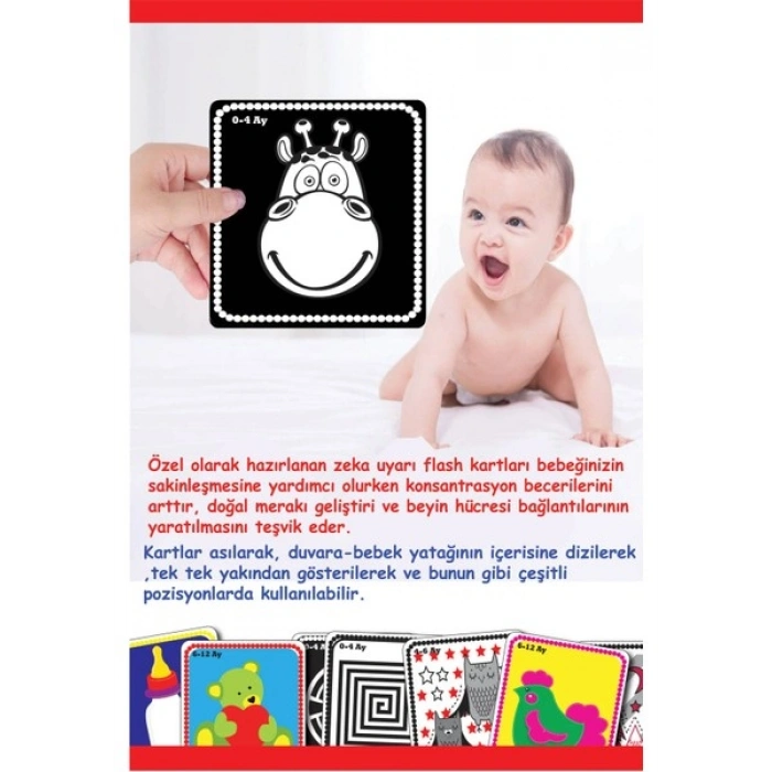Diytoy Cards Book Bebeğim İlk Zeka Kartları
