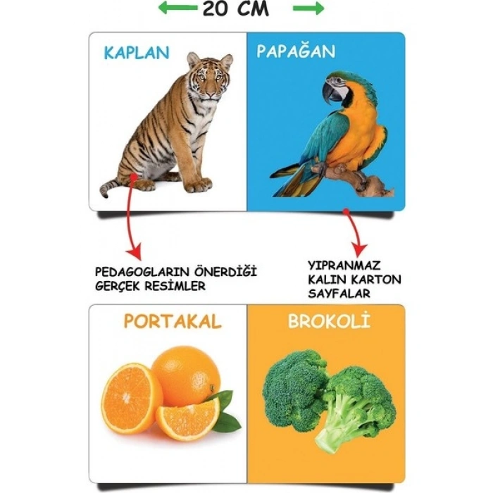 Diytoy İlk Kütüphanem- İlk Sözcükler 8li Mini Bebek Kitap Seti