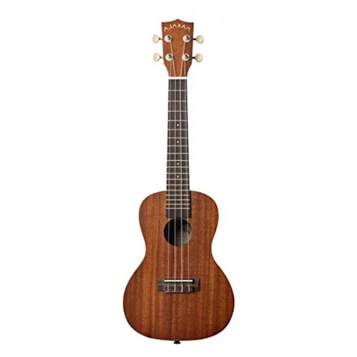 Do Müzik Ukulele - Taşınabilir ve Eğlenceli