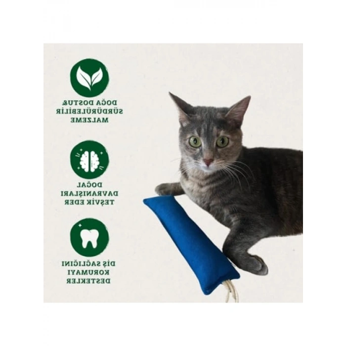 Doğa Dostu Kedi Oyuncağı - Hışırtılı Yastık
