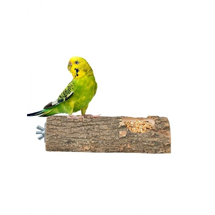 Doğal Ağaç Kuş Tüneği ve Yemlik 15 cm