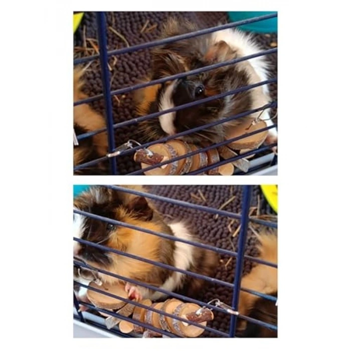 Doğal Ahşap Çiğneme Oyuncağı, Hamster ve Tavşanlar İçin