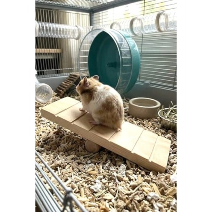 Doğal Ahşap Hamster Tahtıravalli Oyuncağı, 20x7 cm Boyutunda Eğlenceli
