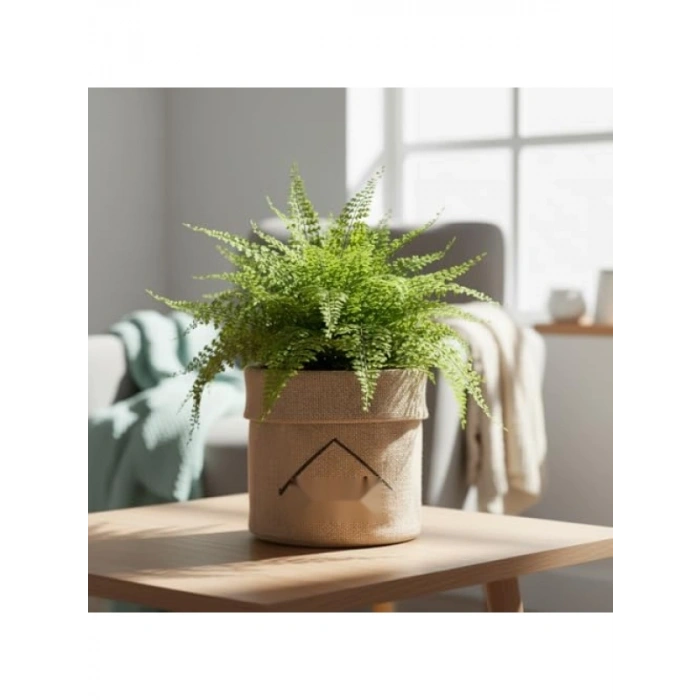 Doğal Jüt Saksı Kılıfı, 14cm Çap, 15cm Yükseklik