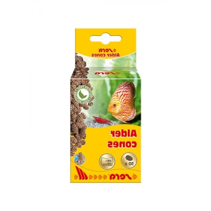 Doğal Kızılağaç Kozalağı - 50 Adet