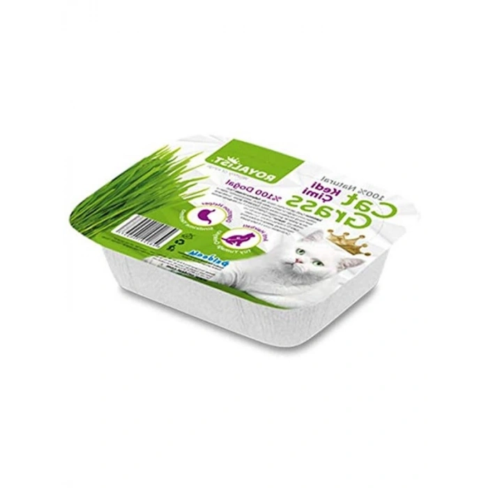 Doğal Sindirimi Destekleyici Kedi Çimi