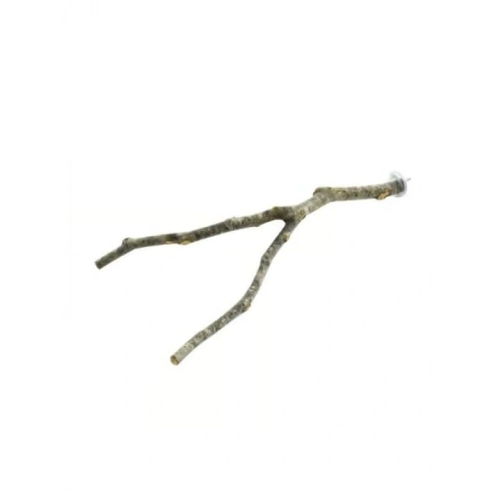 Doğal Tünek, Vidalı Papağanlar İçin - 35-40 cm