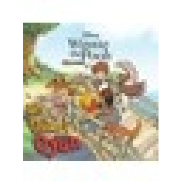 Doğan Çocuk Disney Winnie The Pooh - En Güzel Oyun