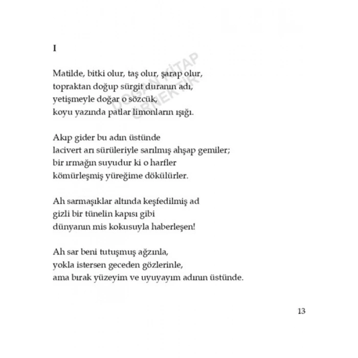 Doğan Kitap Pablo Neruda Yüz Aşk Sonesi Ciltsiz 120 Sayfa Doğan Yayınları Edebiyat Kitabı