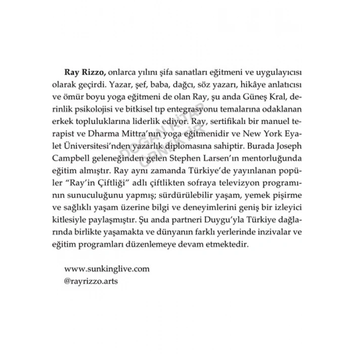 Doğan Novus Güneş Kral - Erkekliğe Yeni Bir Bakış - Ray Rizzo