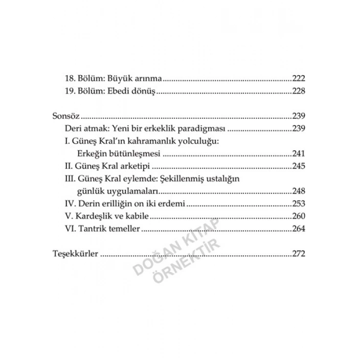 Doğan Novus Güneş Kral - Erkekliğe Yeni Bir Bakış - Ray Rizzo